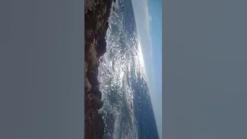 منحلبوش متبغوناش 