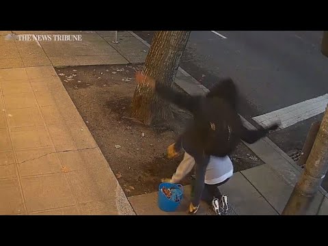 Video shows man randomly kick woman planting flowers on Seattle sidewalk