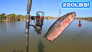 Catching My BIGGEST FISH In The Land Of GIANTS! (NEW PB)