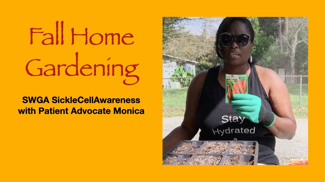 Fall Home Gardening Using Seedling Tray 2020