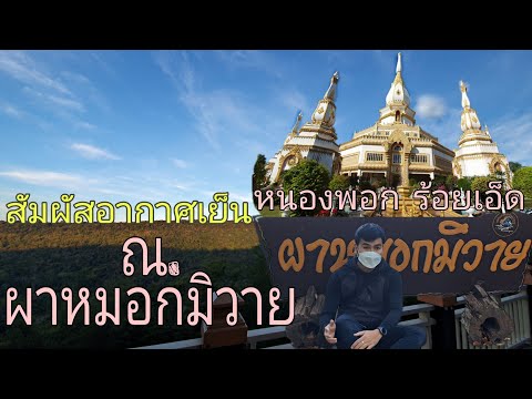 สัมผัสอากาศเย็น ที่ผาหมอกมิวาย อ.หนองพอก จ.ร้อยเอ็ด#ผาหมอกมิวาย#ผาน้ำทิพย์#หนองพอก#ร้อยเอ็ด
