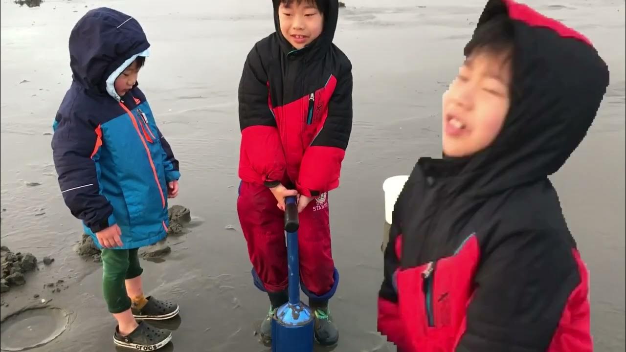 Razor Clams Digging, Copalis Beach, March 2, 2022 YouTube
