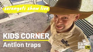 KIDS CORNER - Antlion traps