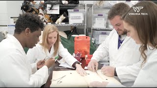 What's the Virginia-Maryland DVM program like?