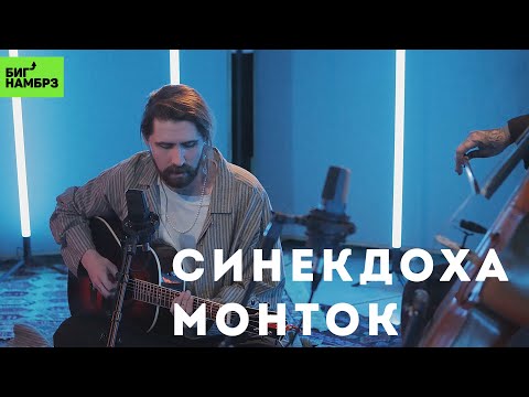 Синекдоха Монток — Незримый вес | Музыкальная студия БИГ НАМБРЗ | Живой звук