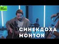 Синекдоха Монток — Незримый вес | Музыкальная студия БИГ НАМБРЗ | Живой звук