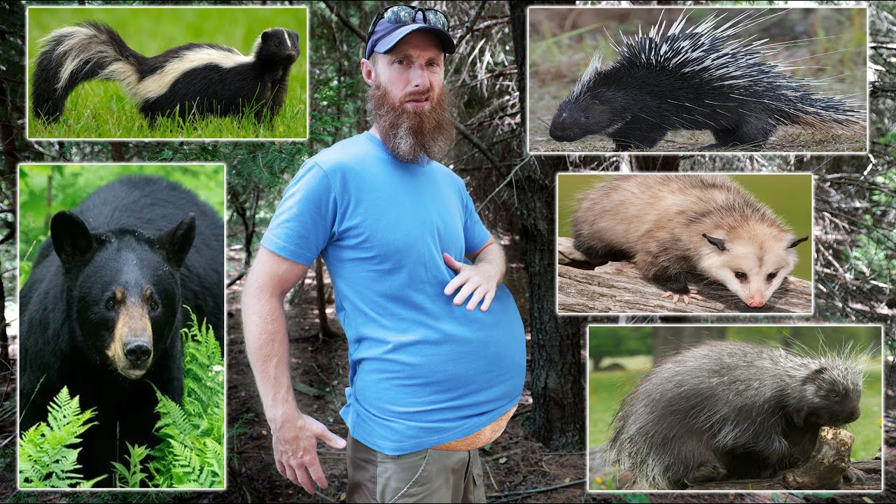 Exactly How Many INTESTINAL PARASITES Are In There?!!? - BIG Vlog, Worms, Catch n Cook, Hockey!!!