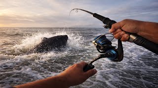 Whipping For Akule Gone Wrong Ulua Came Fo Sampo