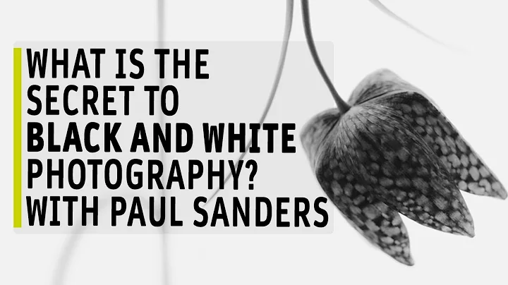 Lets Talk Black and White with Paul Sanders - Foto...