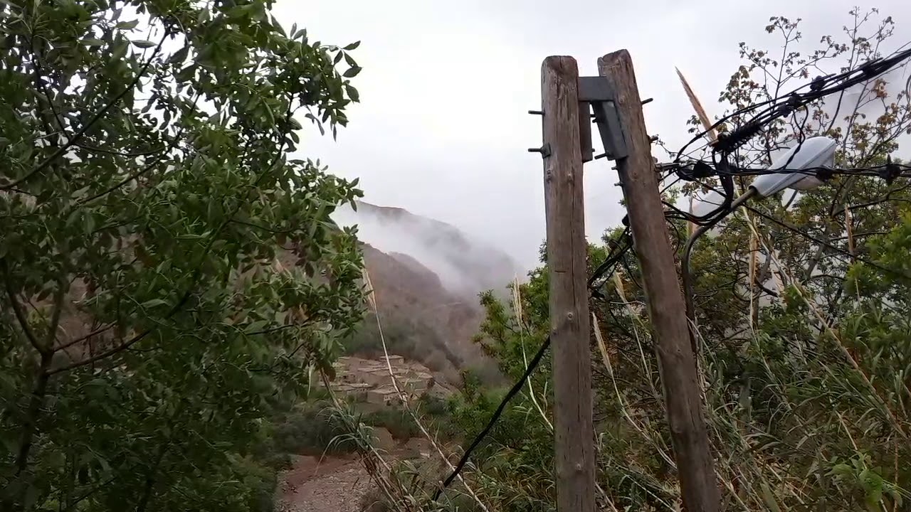 تايفارت .. سواوال احساني ... رائعة ... ❤❤❤