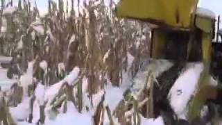 VELNOR EXTREME CORN CHOPPING PART 2.mov