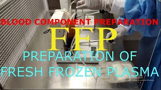 Fresh frozen plasma/FFP/Blood component preparation
