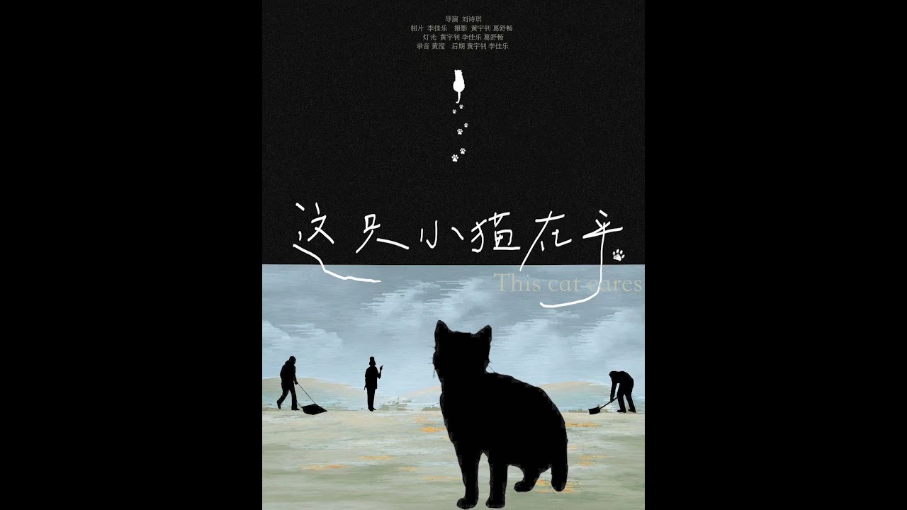 Ying HUANG - Portfolio: This Cat Cares