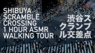 4K SHIBUYA SCRAMBLE CROSSING WALKING TOUR!!! World’s Busiest Pedestrian Crossing TOKYO JAPAN ASMR!!! by Ambient Walking 826 views 5 months ago 1 hour, 3 minutes