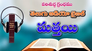 01_మత్తయి సువార్త, Mathai Suvartha, The Gospal of Matthew, Telugu Audio Bible Full screenshot 2