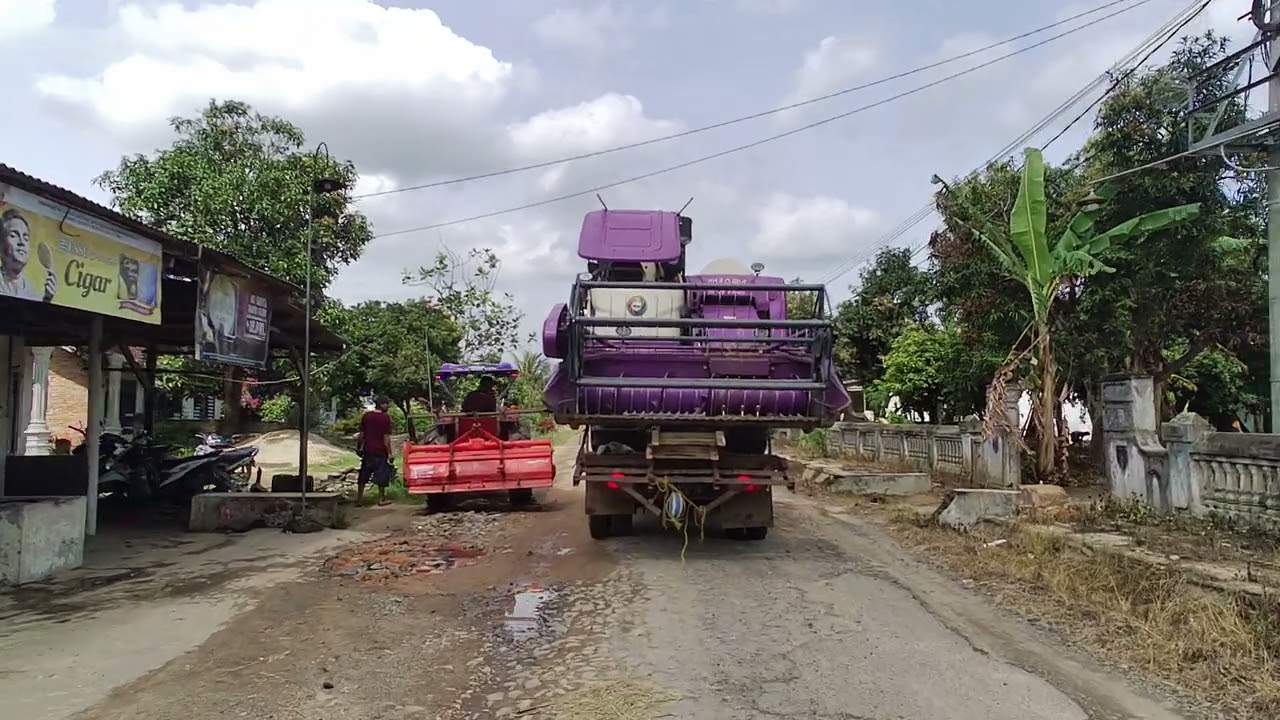 Ловол Инари RG 118 направляется к месту сбора урожая риса.