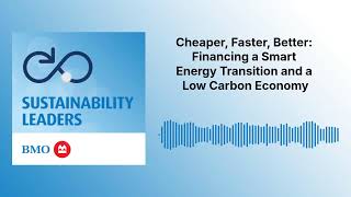 Cheaper, Faster, Better: Financing a Smart Energy Transition and a Low Carbon Economy |...