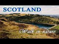 Scottish nature: a walk through beautiful countryside