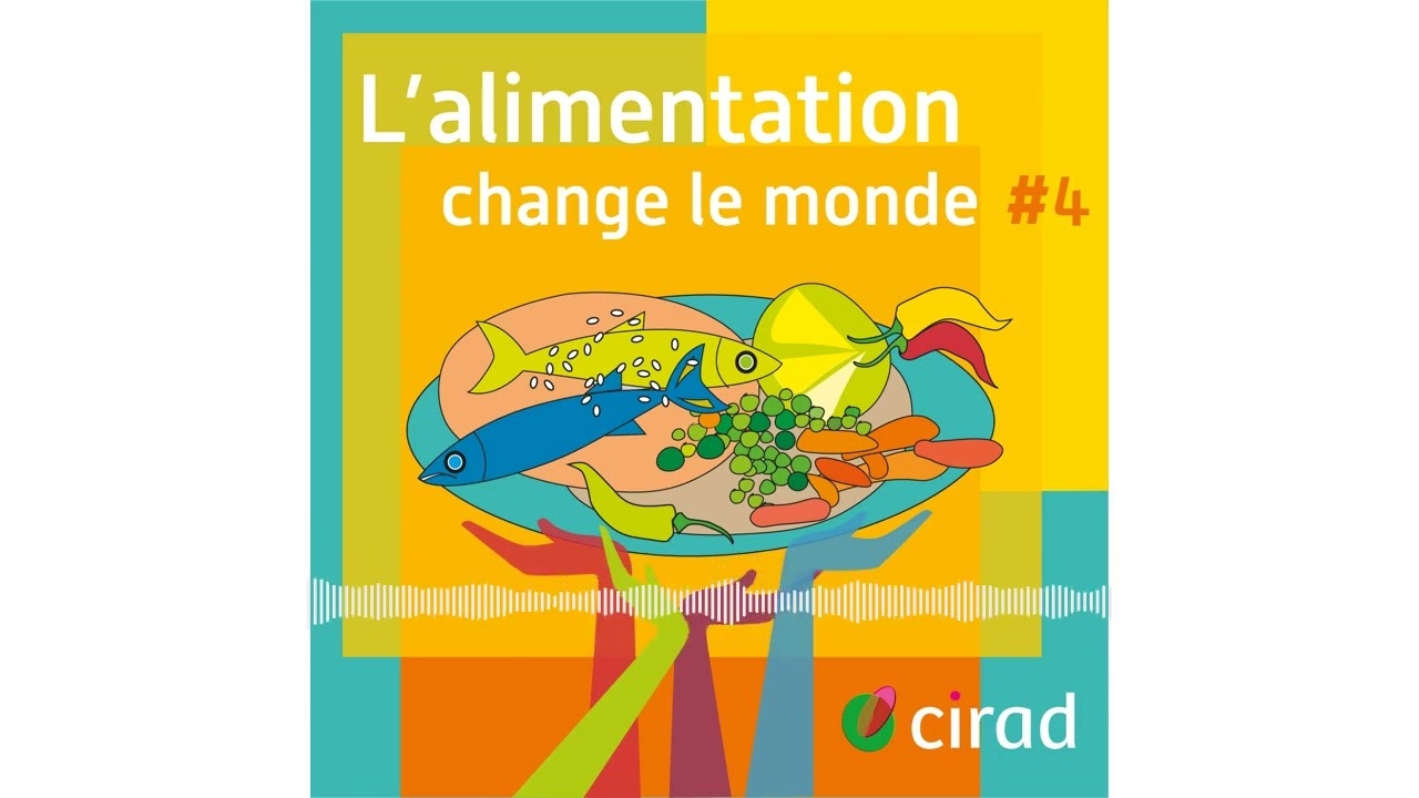 Le goût du terroir #4 | L'alimentation change le monde