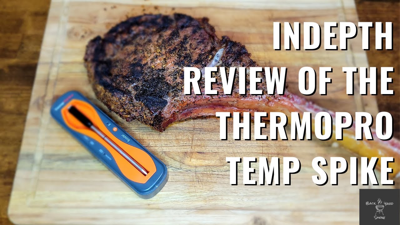 Full Review and Demo of ThermoPro TempSpike Truly Wireless Probe 