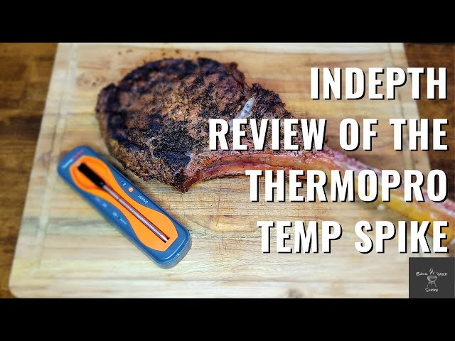 Full Review and Demo of ThermoPro TempSpike Truly Wireless Probe 