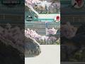 When the Giga sleeps, the Acro takes down the Spino! - Jurassic World Evolution 3