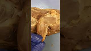 Mink Muscle Dissection Preview Group 8