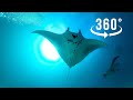 【彩蜂360全景】记录地球上最美好瞬间--潜入深蓝 / 南极冰海 / 航天飞机驾驶舱 / 赌城大道