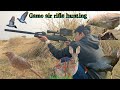 Gamo air gun hunting babbler pest controlhunting 202324 mz birds hunting