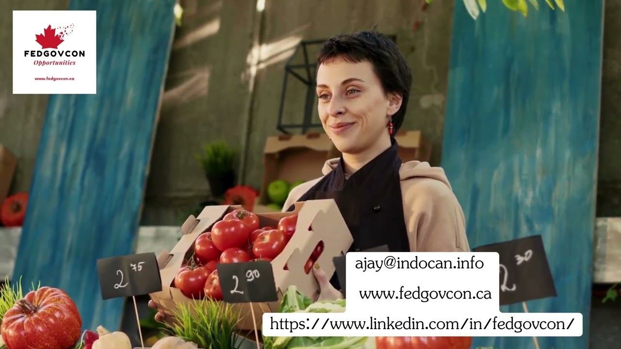 Mastering Government Contracts A Step by Step Guide for Small Businesses to Win Big