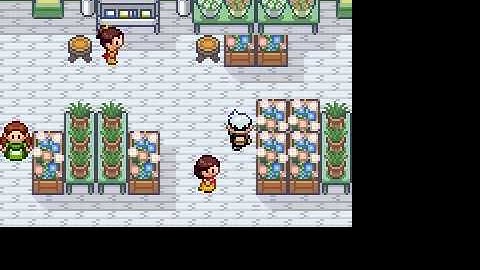 how to get wailmer can