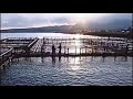 中森明菜さん#カサブランカ/WBS&rdquo;エンディングテーマ曲。