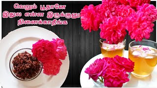 உடல் எடையை குறைக்கும் ரோஜா பூ / Rose Tea & it's Benefits /Homemade Gulkand and it's Health Benefits