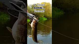 Реплика не хуже оригинала... #fishing #рыбалка