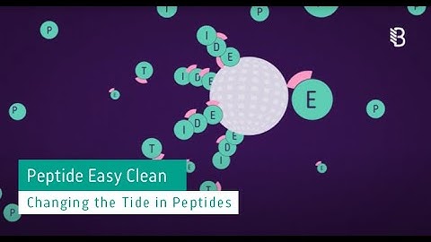 Animation of Belyntic