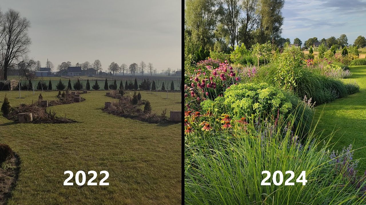 Rabaty Wywijasy🌸Efekt Wow po dwóch sezonach!!! Moc bylin i traw ozdobnych 🌸🌾🌸