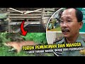 BKSDA Beri Peringatan, Harimau Turun Pemukiman di Siak