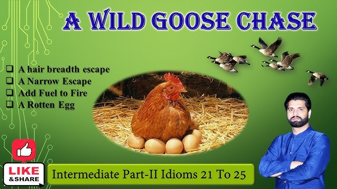 Go on a Wild Goose Chase Meaning with Example - Leverage Edu