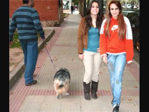 Chicas._0002.wmv