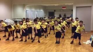 The Dance Module in the Programme for Active Learning for Primary 1