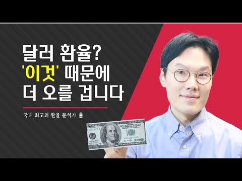 달러 환율은 이것 때문에 더 오를 수 밖에 없어요 환율 전망 