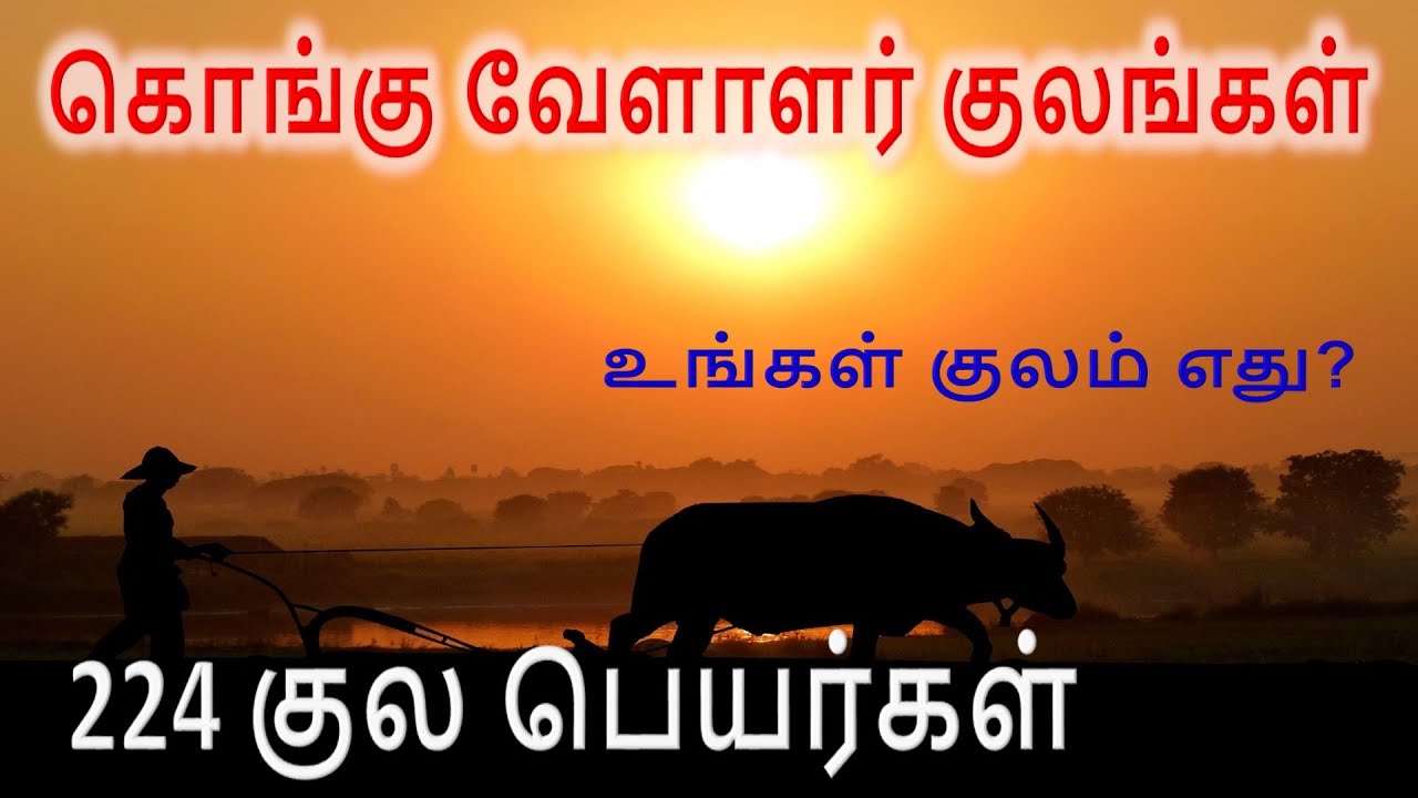 Kongu Vellalar kongu-vellalar