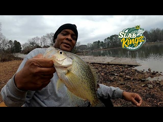 Catching Multi-Species While Fishing from the Bank! 