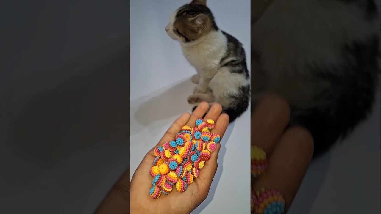 Cat Bella Beads 🌈🌸Reverse video