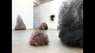 Play video: Sculpture Forum 35: Alan Saret at Karma Gallery, NYC