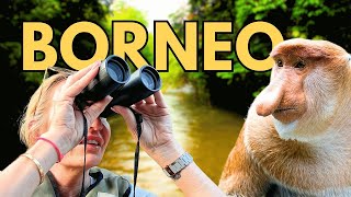 WILD BORNEO: Orangutans, Elephants, Proboscis Monkeys & Crocodiles