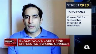 Sustainable investing is mostly marketing and PR: Former BlackRock exec