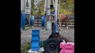 IMG 1464