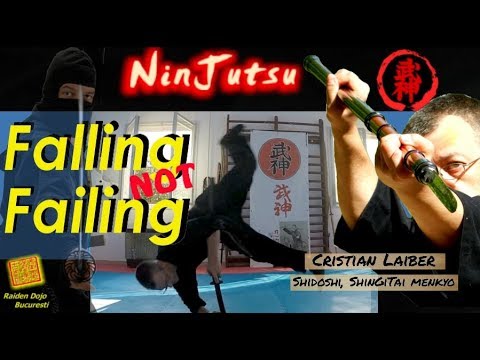 Falling, not failing - applied classical martial arts strategy, C.Laiber, seminar in Hungary 2017 aiki promotora