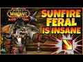 Sunfire still rocks in sod pvp  feral druid pvp season of discovery  world of warcraft classic p2